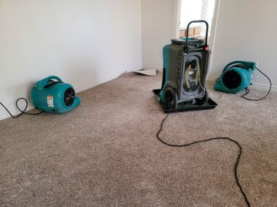 Carpet Removal