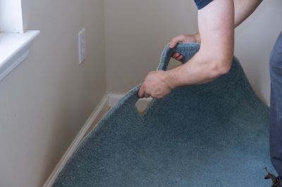 Remove Dust, Dirt, and Allergens!